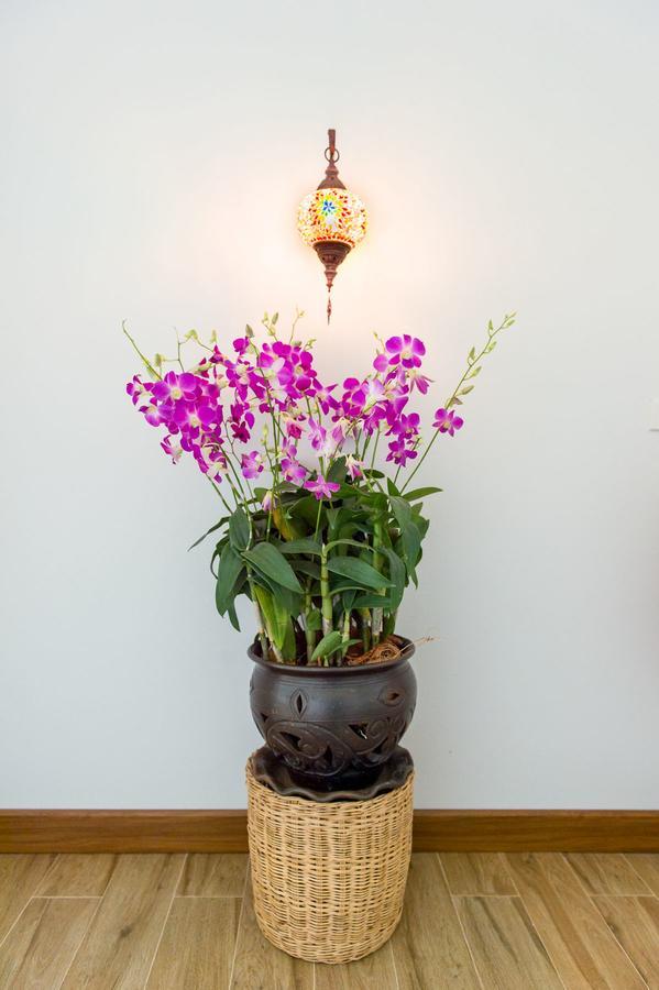 Villa Thai Orchid (Adults Only) Chiang Mai Luaran gambar